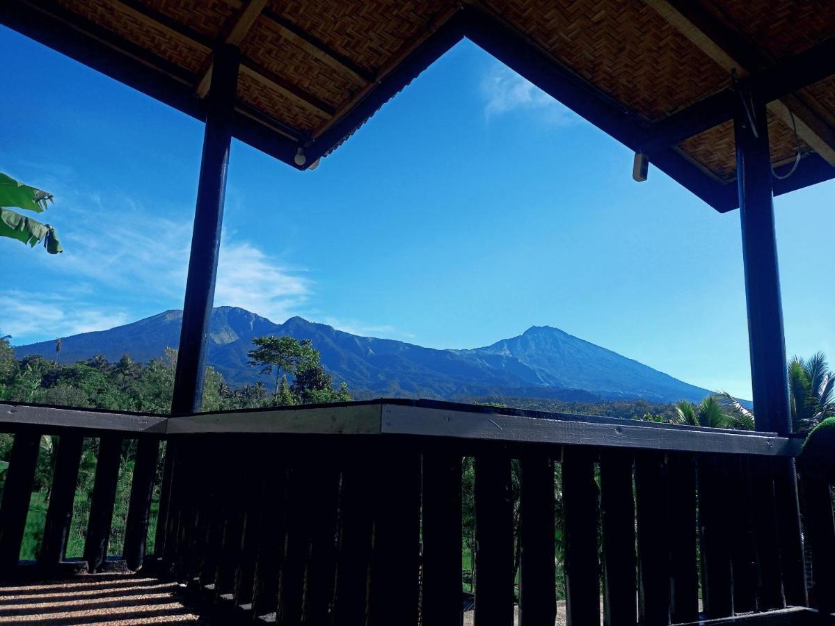 Tetebatu Mountain View Homestay Номер фото