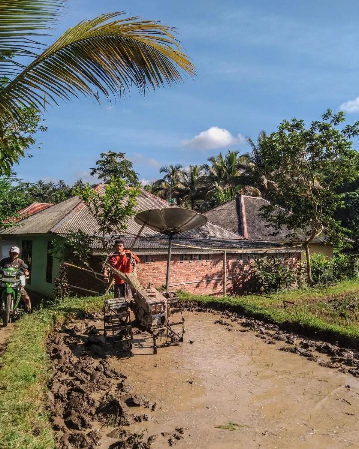 Tetebatu Mountain View Homestay Экстерьер фото