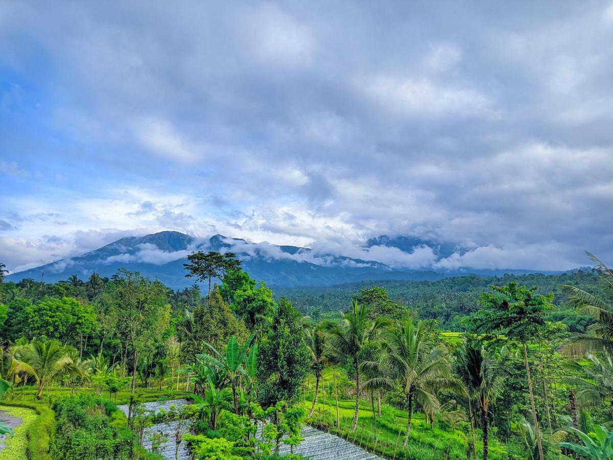 Tetebatu Mountain View Homestay Экстерьер фото