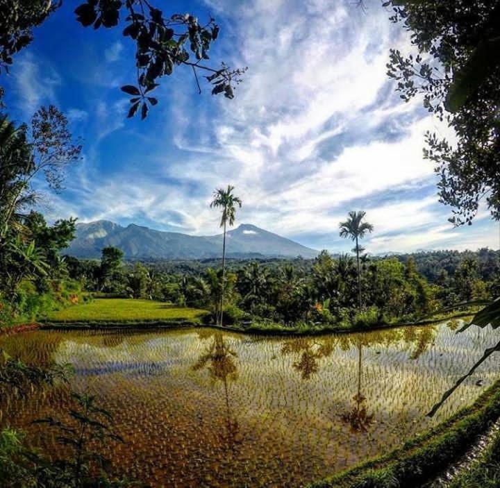 Tetebatu Mountain View Homestay Номер фото